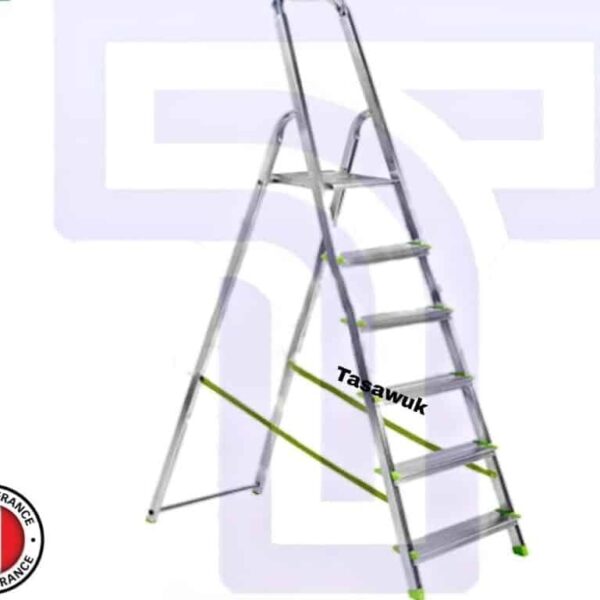 6-step Domestic Ladder made in France