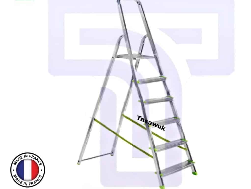 6-step Domestic Ladder made in France