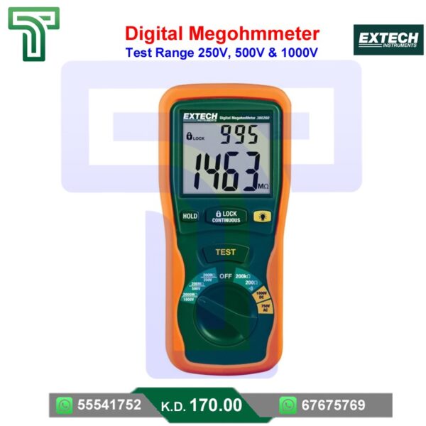 Digital Megohmeter