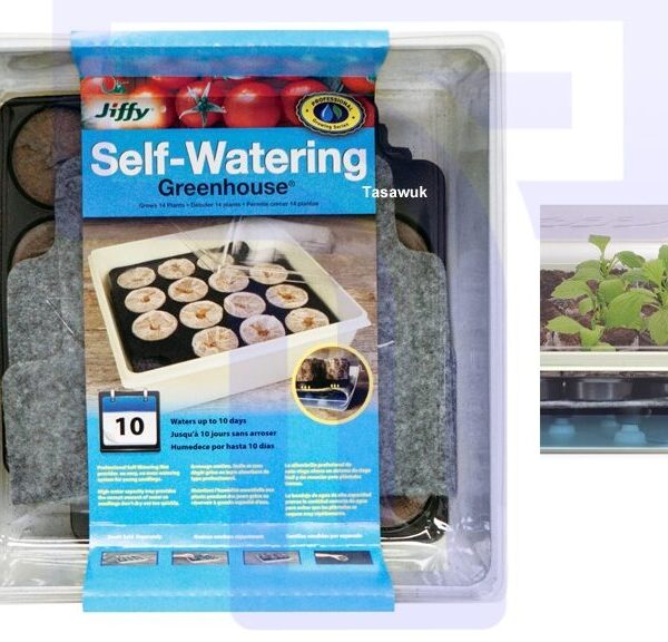 Self Watering Greenhouse