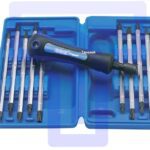 Reversible Blade S/Driver Set