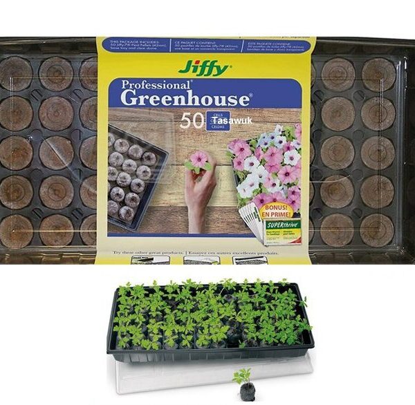 Professional Greenhouse