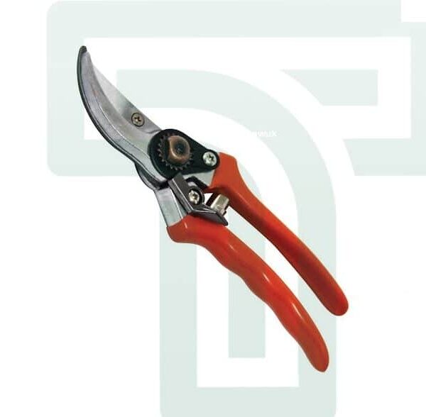Curved Pruning Shear