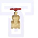 Proline 2 In. Fip Brass Gate Valve Lead-free