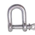 D-Shackle With Pin