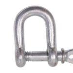 D-Shackle With Pin