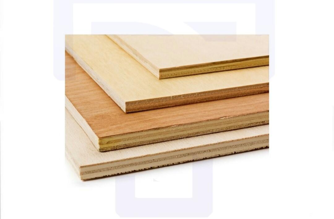 IMG_5836 Plywood - Image 1