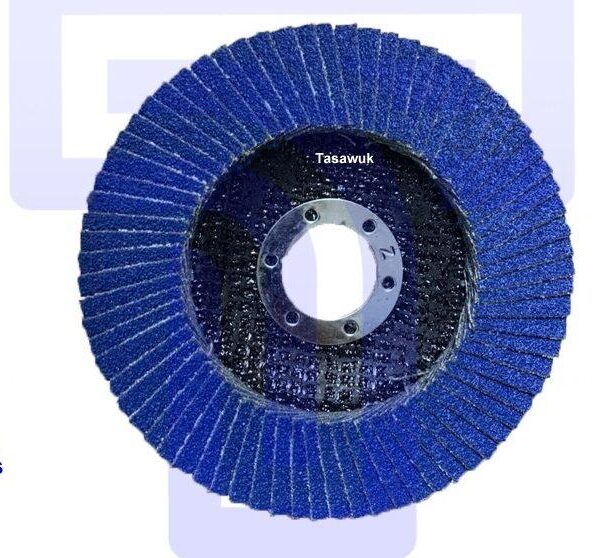 Stainless Steel Flap Disc