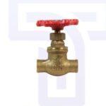 Proline 3/8 In. Fip Brass Gate Valve Lead-free