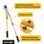 Double Gear Bypass Looper