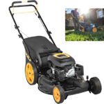 Gasoline Lawn Mower