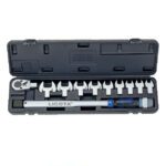 Licota Micrometer Torque Wrench Set