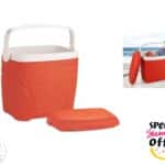 Asian 28ltr Insulated Ice Cooler