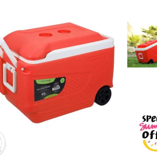 Asian 45ltr Insulated Ice Cooler