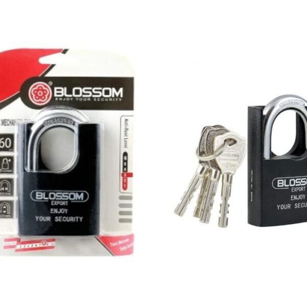 padlocks, weatherproof padlock, Blossom padlock