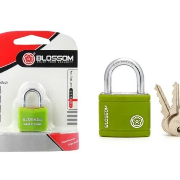 Blossom padlock, brass padlock, heavy duty padlock, 40mm padlock