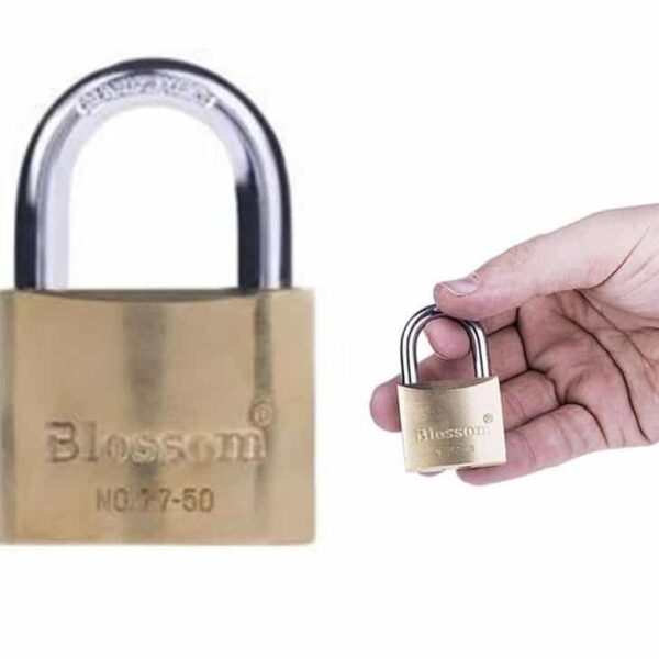 cylinder 60mm, locks, security