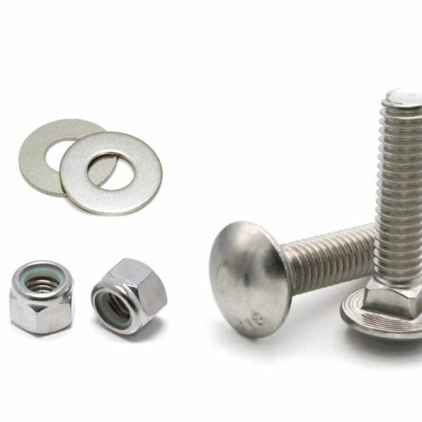 SS Carriage Bolt Set M6x20