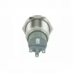 LED Push Button Momentary Switch