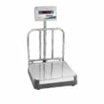 50kg Stainless Steel Weighing Scale