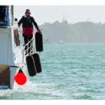 Elite Fender Covers EFC-4 - Image 2