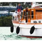 Elite Fender Covers EFC-2 - Image 2