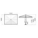 Napoli Standard - Image 5