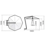 Rimini Braccio - Image 7