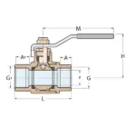 Ball Valve M-F full flow - Image 2
