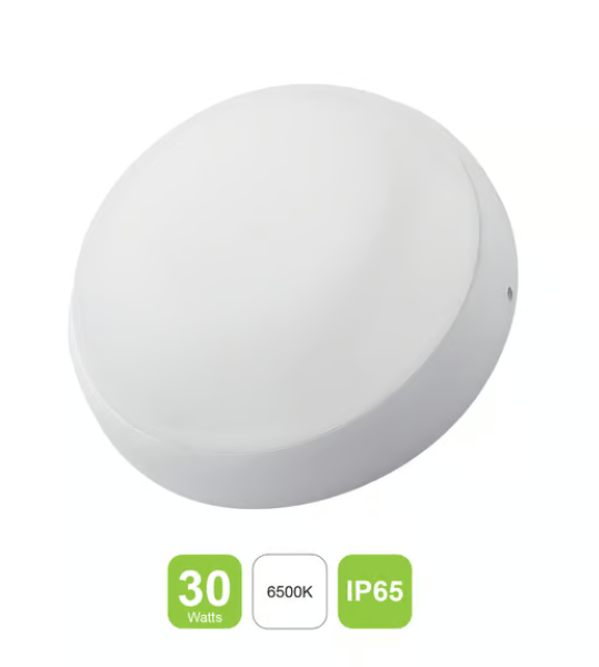 Round Bulk Head Lamp Cover 30W Warm LED 6500K