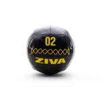 ZIVA Performance Wall Ball 2 kg