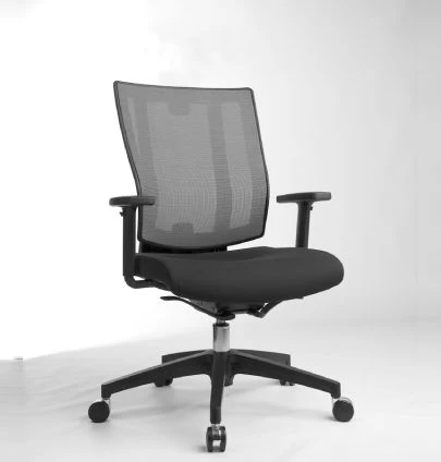 1 Promax Executive & Conference Chairs Tasks & Ergonomic Chairs - Image 1