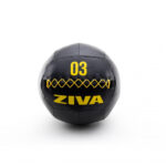ZIVA Performance Wall Ball 3 kg