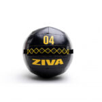 ZIVA Performance Wall Ball 4 kg