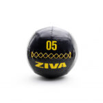 ZIVA Performance Wall Ball 5 kg
