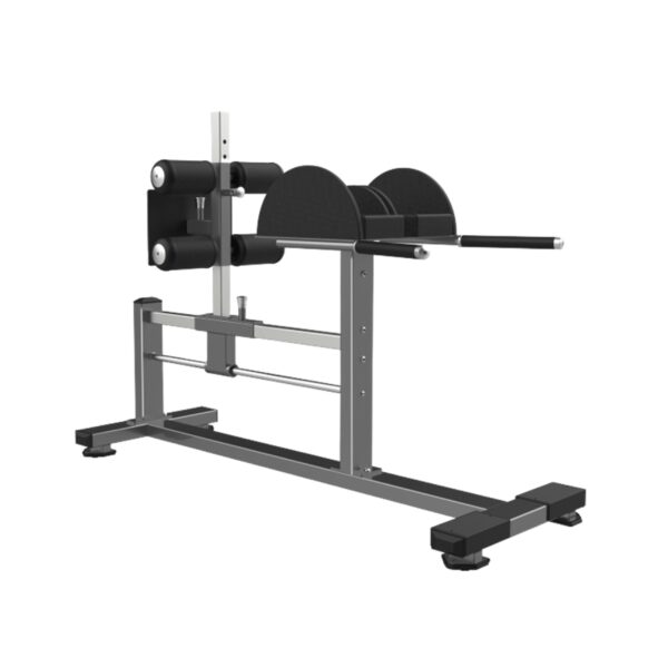 REALLEADER USA Glute Ham Raise