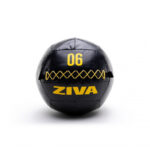 ZIVA Performance Wall Ball 6 kg