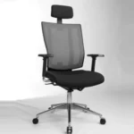 Promax with Headrest Executive & Conference Chairs Tasks & Ergonomic Chairs