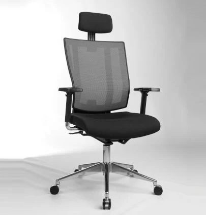 5 Promax with Headrest Executive & Conference Chairs Tasks & Ergonomic Chairs - Image 1