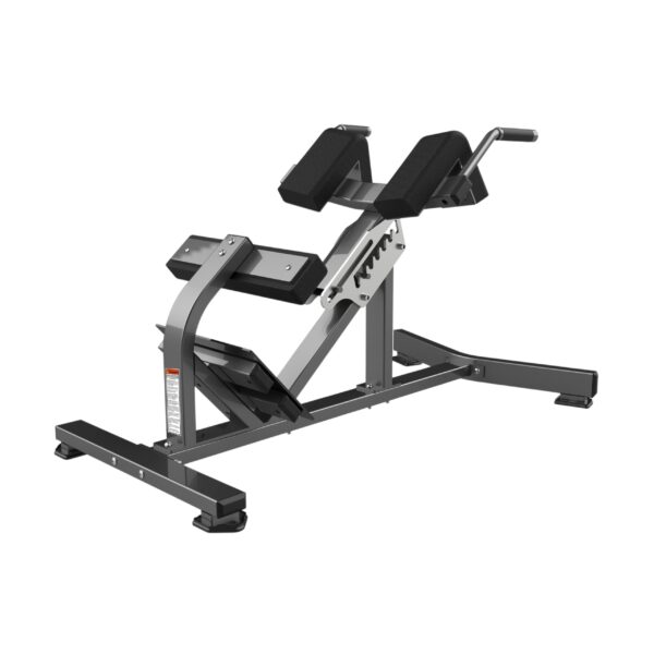 REALLEADER USA Hyperextension