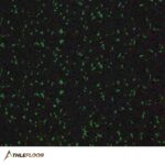 THLEFLOOR Rubber Interlocking Tile Flooring Color Black with Green - Image 3