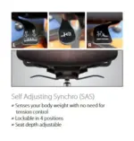 Promax with Headrest Executive & Conference Chairs Tasks & Ergonomic Chairs - Image 2