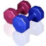 GYMSTICK Light Dumbbell Pair