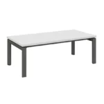 Cadi Coffee Table W1200 x D600 x H420mm Coffee Tables