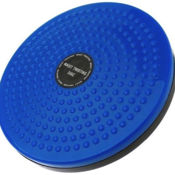 Waist Twister Disc