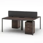 Agile Cluster of 2 W1600 x D750 x H750mm Workstations