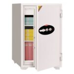 Diplomat Dual Key Safe