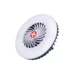 Picnic Light and Fan