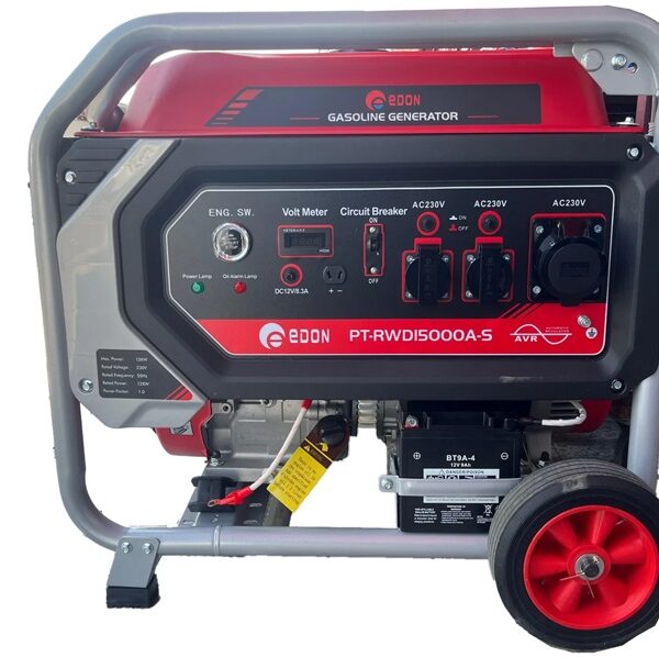 Edon Heavy Duty Gasoline Generator