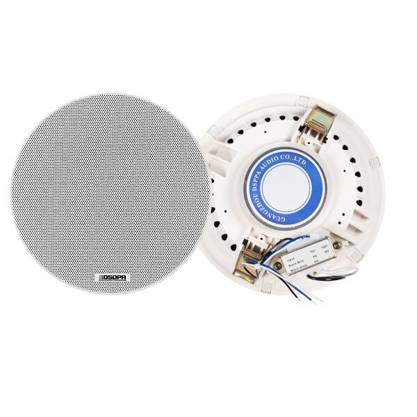 DSPPA 6.5" Frameless Ceiling Speaker